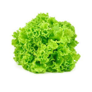 Alface Crespa