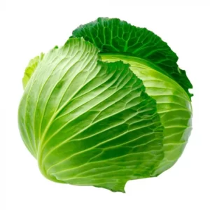 Repolho Verde
